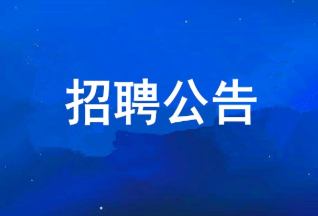 PG电子游戏 2025年度公开招聘布告