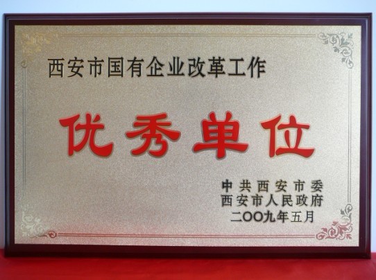 2009年5月，被西安市委、市当驹炖为西安市国企业鼎新工作优良单元